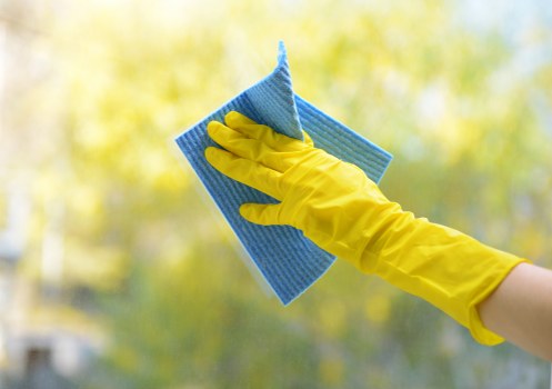 Professional upholstery cleaning in Uxbridge for a fresh sofa