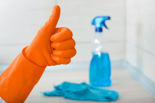 Inspection of a carpet cleaning result after treatment