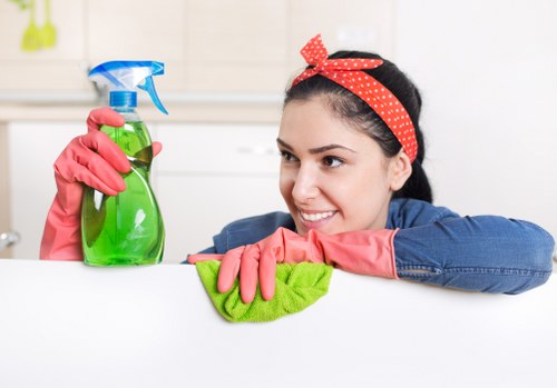 Local carpet cleaning company providing careful interior maintenance