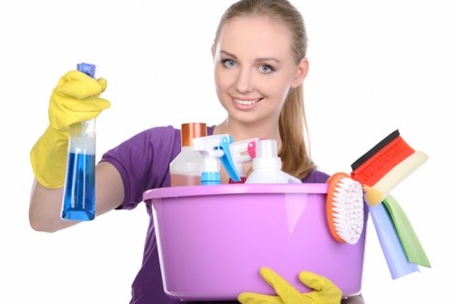 Professional carpet cleaning process in progress inside a property